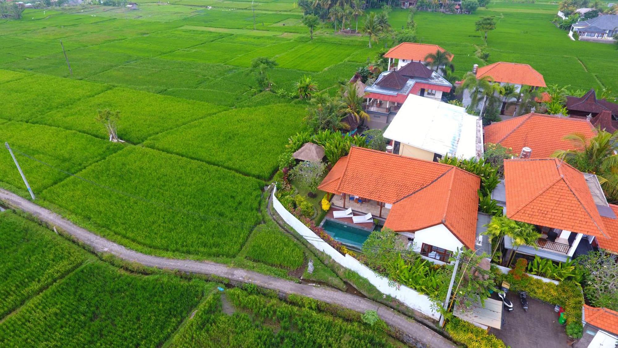 Villa Maya Ubud, Peaceful Rice Field View Exterior photo